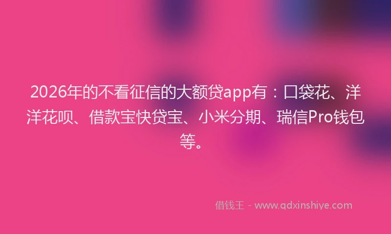 2026年的不看征信的大额贷app有：口袋花、洋洋花呗、借款宝快贷宝、小米分期、瑞信Pro钱包等。