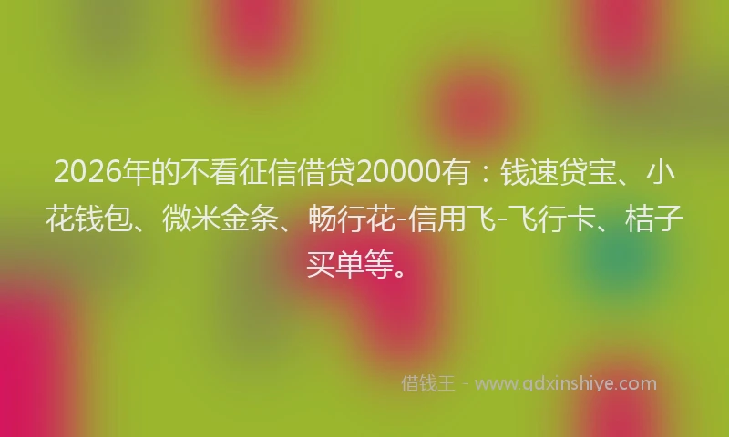 2026年的不看征信借贷20000有：钱速贷宝、小花钱包、微米金条、畅行花-信用飞-飞行卡、桔子买单等。