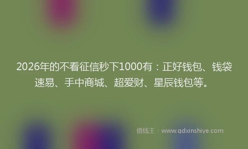 2026年的不看征信秒下1000有：正好钱包、钱袋速易、手中商城、超爱财、星辰钱包等。
