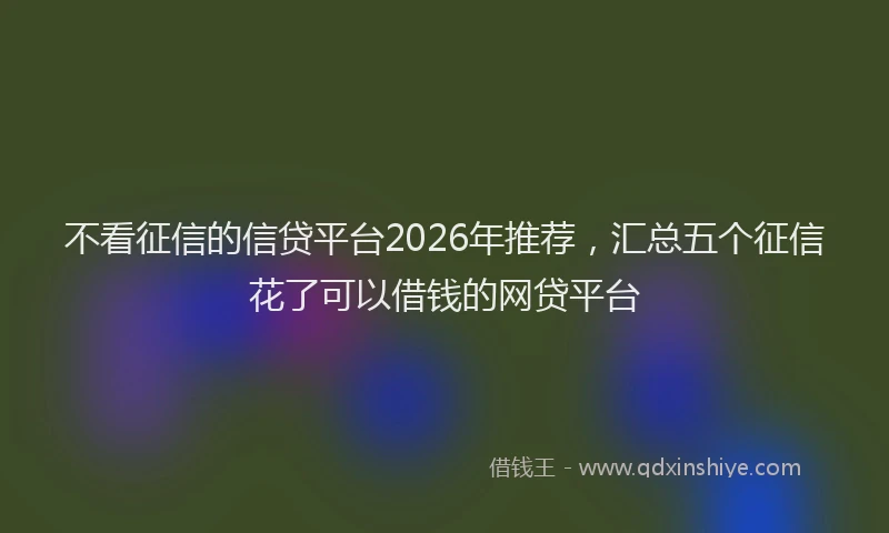 不看征信的信贷平台2026年推荐，汇总五个征信花了可以借钱的网贷平台
