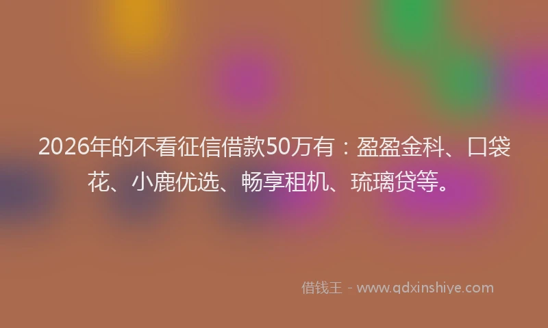 2026年的不看征信借款50万有：盈盈金科、口袋花、小鹿优选、畅享租机、琉璃贷等。