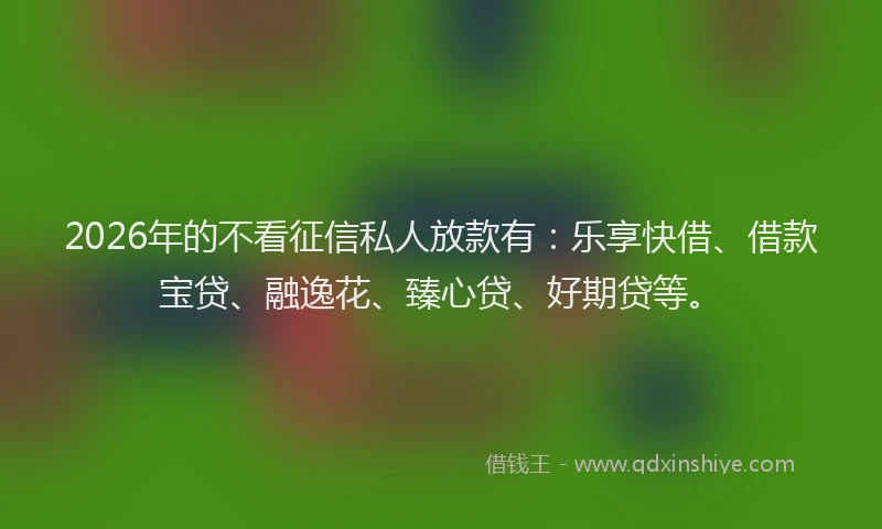 2026年的不看征信私人放款有：乐享快借、借款宝贷、融逸花、臻心贷、好期贷等。