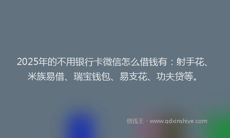 2025年的不用银行卡微信怎么借钱有：射手花、米族易借、瑞宝钱包、易支花、功夫贷等。