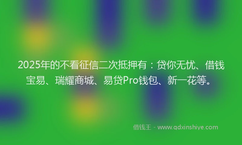 2025年的不看征信二次抵押有：贷你无忧、借钱宝易、瑞耀商城、易贷Pro钱包、新一花等。