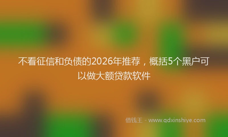 不看征信和负债的2026年推荐,概括5个黑户可以做大额贷款软件