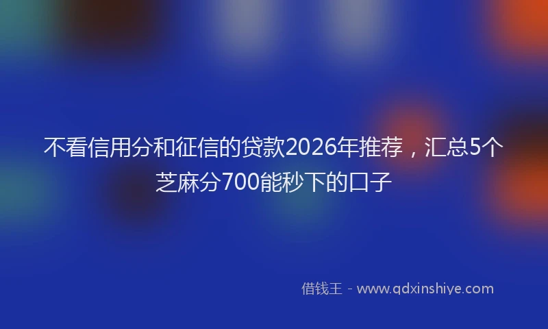 不看信用分和征信的贷款2026年推荐，汇总5个芝麻分700能秒下的口子