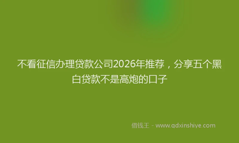 不看征信办理贷款公司2026年推荐，分享五个黑白贷款不是高炮的口子