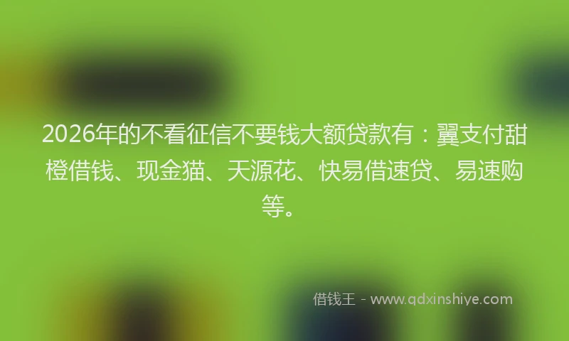 2026年的不看征信不要钱大额贷款有:翼支付甜橙借钱、现金猫、天源花、快易借速贷、易速购等。