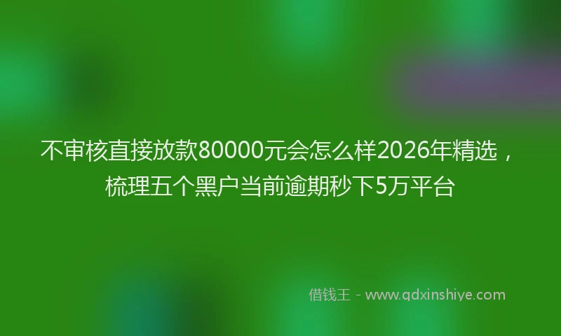 不审核直接放款80000元会怎么样2026年精选,梳理五个黑户当前逾期秒下5万平台
