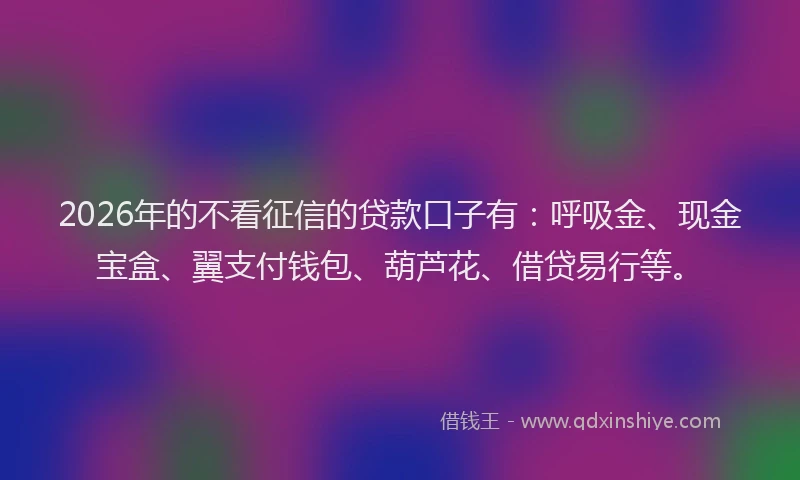 2026年的不看征信的贷款口子有：呼吸金、现金宝盒、翼支付钱包、葫芦花、借贷易行等。