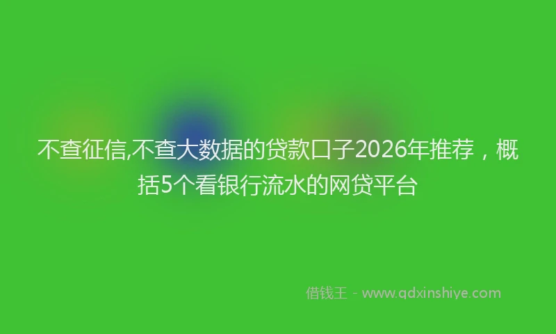 不查征信,不查大数据的贷款口子2026年推荐，概括5个看银行流水的网贷平台