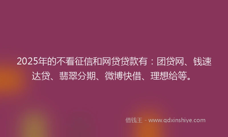 2025年的不看征信和网贷贷款有：团贷网、钱速达贷、翡翠分期、微博快借、理想给等。