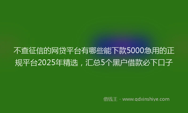 不查征信的网贷平台有哪些能下款5000急用的正规平台2025年精选，汇总5个黑户借款必下口子