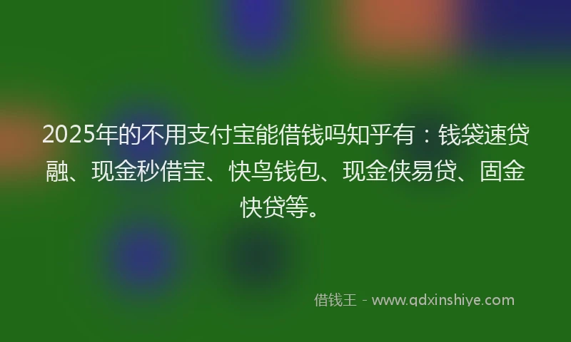 2025年的不用支付宝能借钱吗知乎有：钱袋速贷融、现金秒借宝、快鸟钱包、现金侠易贷、固金快贷等。