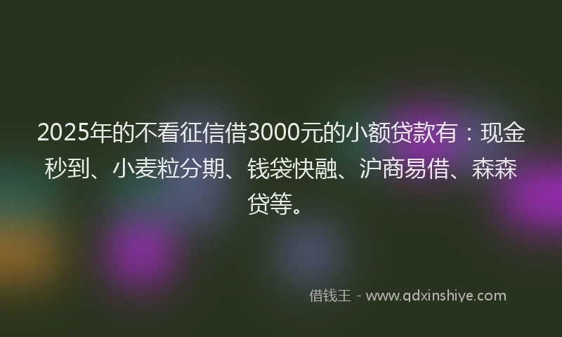 2025年的不看征信借3000元的小额贷款有：现金秒到、小麦粒分期、钱袋快融、沪商易借、森森贷等。