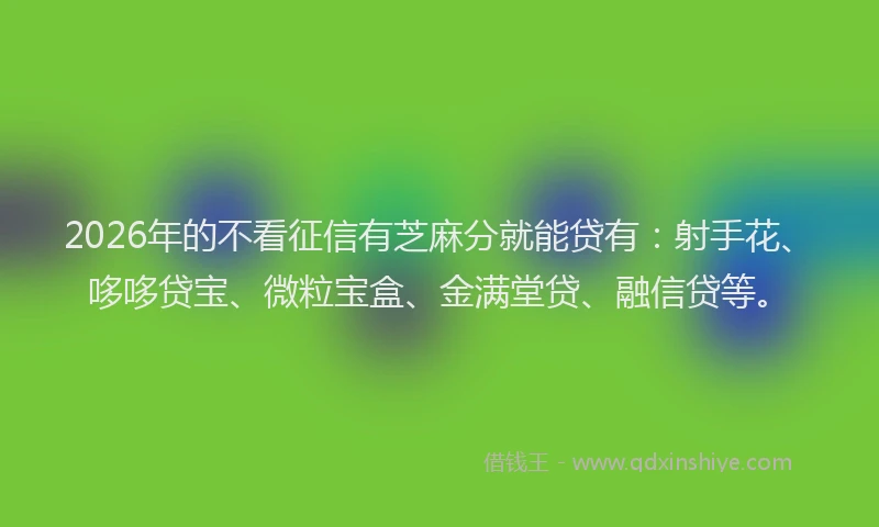 2026年的不看征信有芝麻分就能贷有：射手花、哆哆贷宝、微粒宝盒、金满堂贷、融信贷等。
