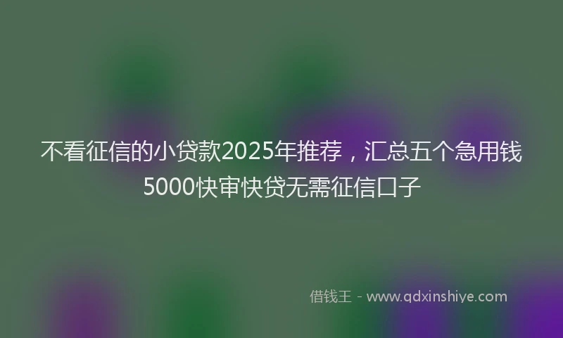 不看征信的小贷款2025年推荐，汇总五个急用钱5000快审快贷无需征信口子