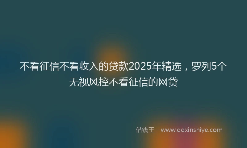 不看征信不看收入的贷款2025年精选，罗列5个无视风控不看征信的网贷