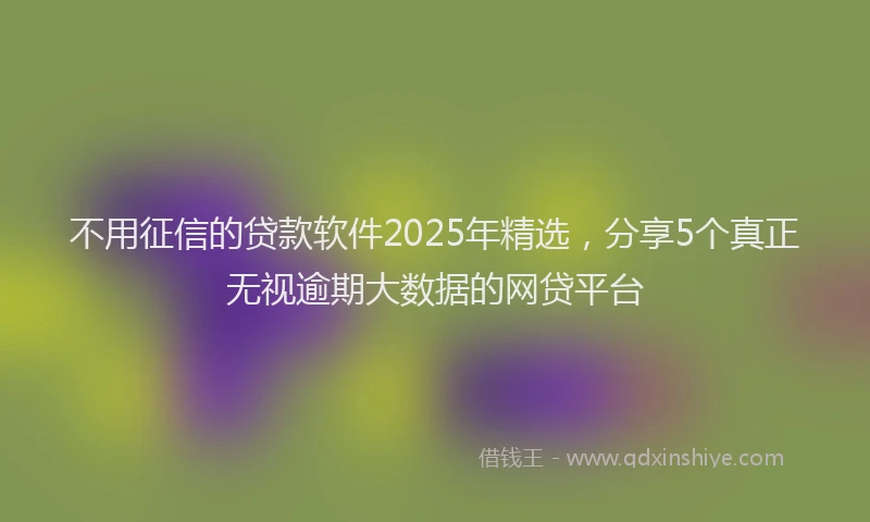 不用征信的贷款软件2025年精选，分享5个真正无视逾期大数据的网贷平台