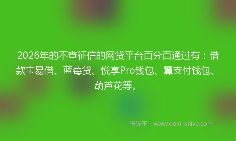 2026年的不查征信的网贷平台百分百通过有：借款宝易借、蓝莓贷、悦享Pro钱包、翼支付钱包、葫芦花等。