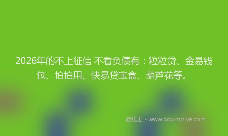 2026年的不上征信 不看负债有：粒粒贷、金易钱包、拍拍用、快易贷宝盒、葫芦花等。