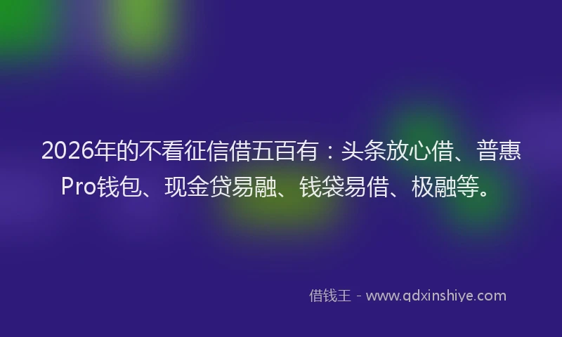 2026年的不看征信借五百有：头条放心借、普惠Pro钱包、现金贷易融、钱袋易借、极融等。