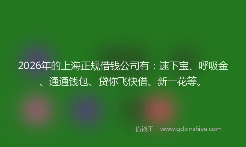 2026年的上海正规借钱公司有：速下宝、呼吸金、通通钱包、贷你飞快借、新一花等。