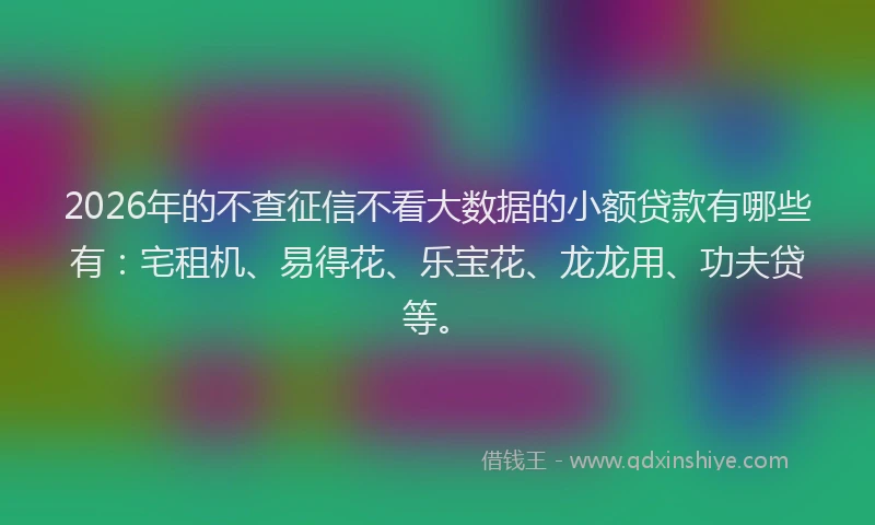 2026年的不查征信不看大数据的小额贷款有哪些有：宅租机、易得花、乐宝花、龙龙用、功夫贷等。