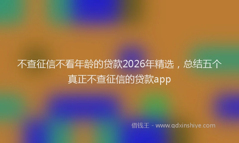 不查征信不看年龄的贷款2026年精选，总结五个真正不查征信的贷款app