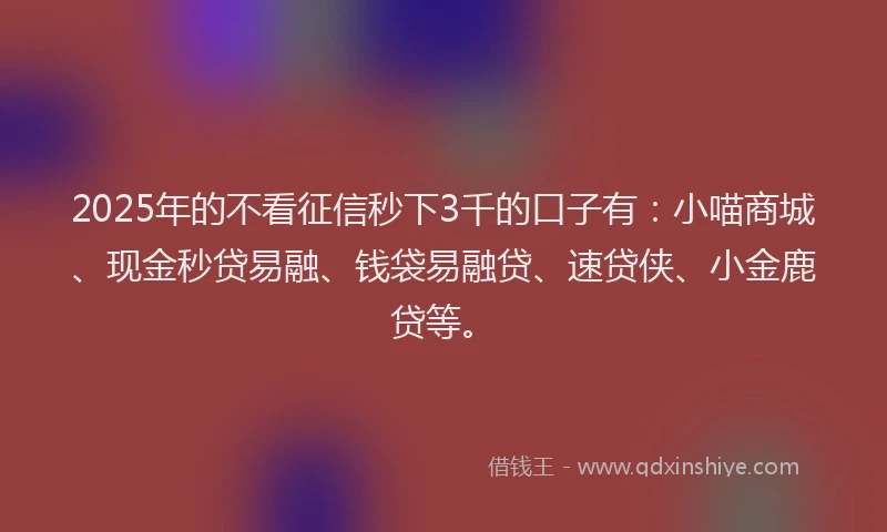 2025年的不看征信秒下3千的口子有：小喵商城、现金秒贷易融、钱袋易融贷、速贷侠、小金鹿贷等。