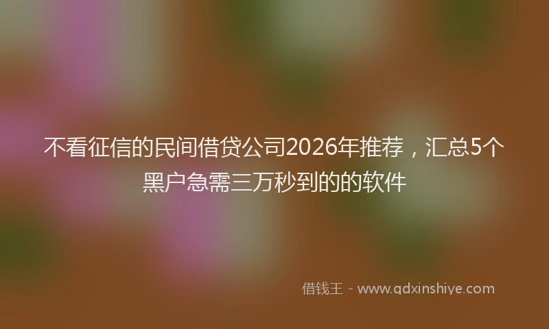 不看征信的民间借贷公司2026年推荐，汇总5个黑户急需三万秒到的的软件