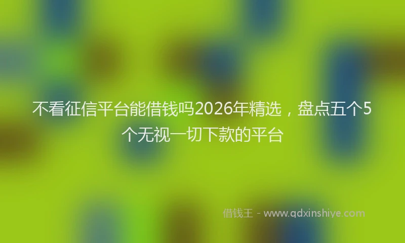 不看征信平台能借钱吗2026年精选，盘点五个5个无视一切下款的平台
