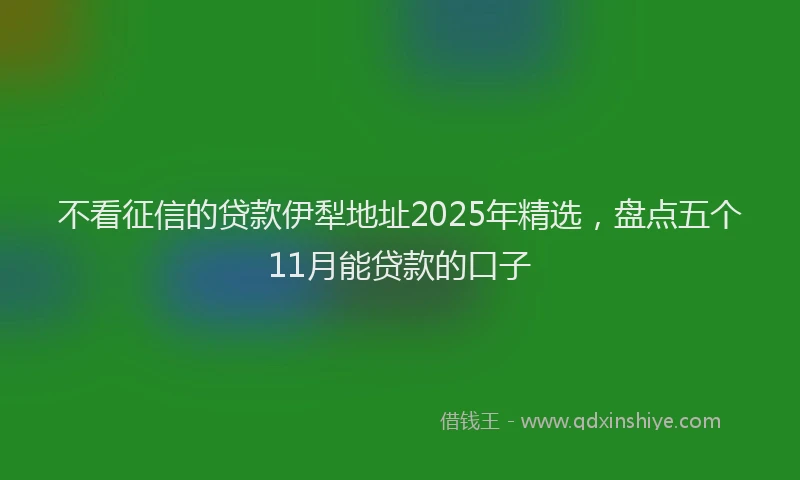 不看征信的贷款伊犁地址2025年精选，盘点五个11月能贷款的口子