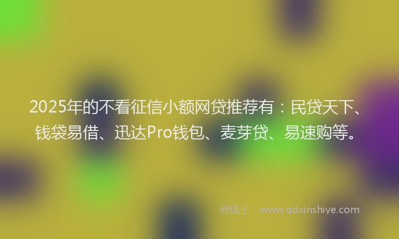 2025年的不看征信小额网贷推荐有：民贷天下、钱袋易借、迅达Pro钱包、麦芽贷、易速购等。