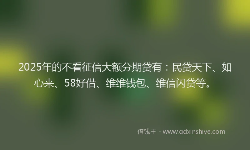 2025年的不看征信大额分期贷有：民贷天下、如心来、58好借、维维钱包、维信闪贷等。