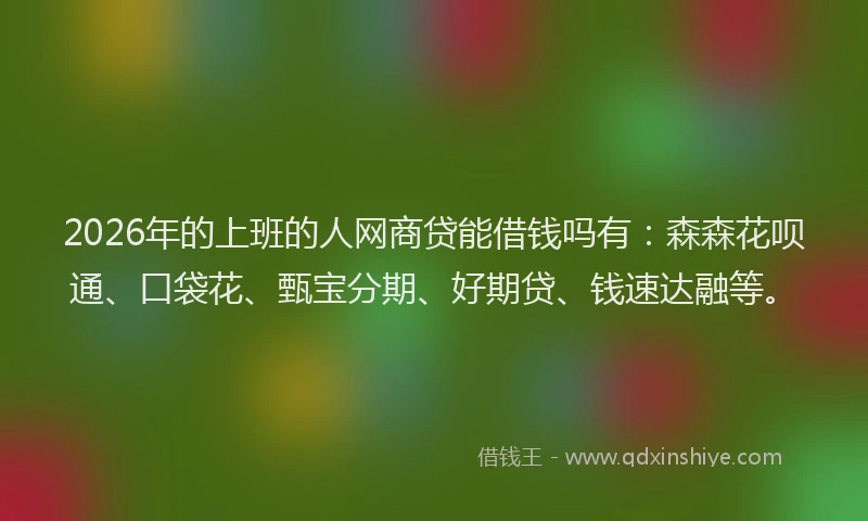 2026年的上班的人网商贷能借钱吗有：森森花呗通、口袋花、甄宝分期、好期贷、钱速达融等。