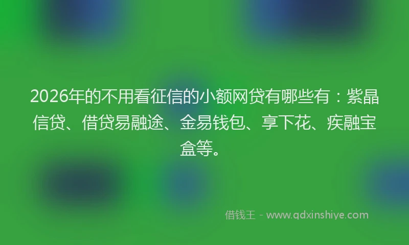 2026年的不用看征信的小额网贷有哪些有：紫晶信贷、借贷易融途、金易钱包、享下花、疾融宝盒等。