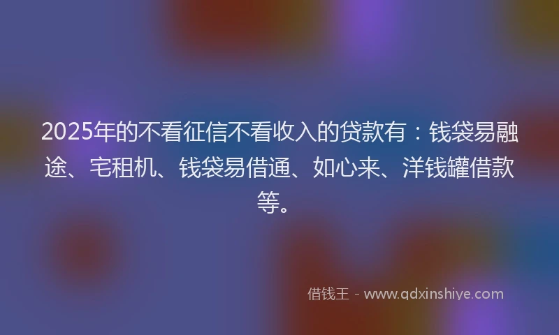2025年的不看征信不看收入的贷款有：钱袋易融途、宅租机、钱袋易借通、如心来、洋钱罐借款等。
