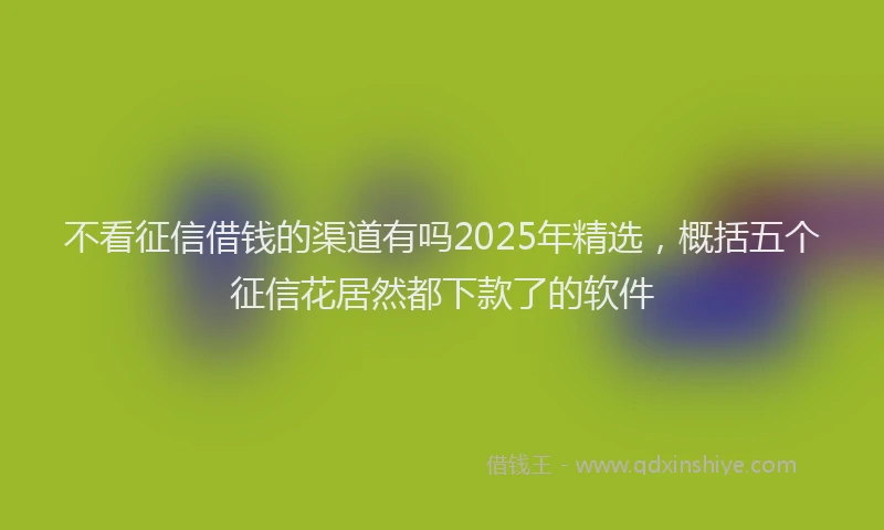 不看征信借钱的渠道有吗2025年精选，概括五个征信花居然都下款了的软件