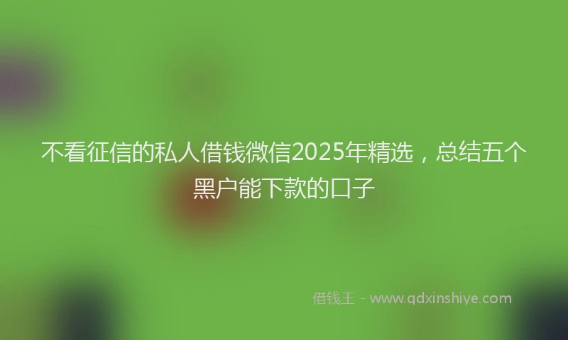 不看征信的私人借钱微信2025年精选，总结五个黑户能下款的口子