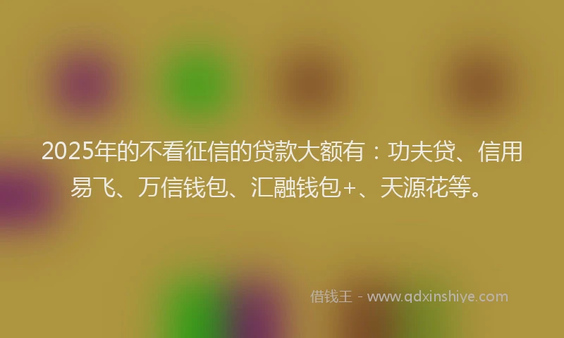 2025年的不看征信的贷款大额有：功夫贷、信用易飞、万信钱包、汇融钱包+、天源花等。