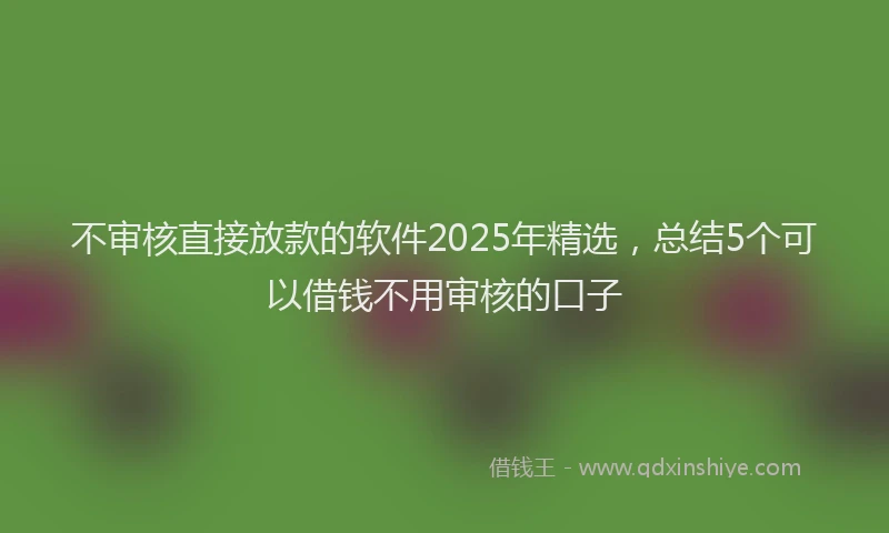 不审核直接放款的软件2025年精选，总结5个可以借钱不用审核的口子