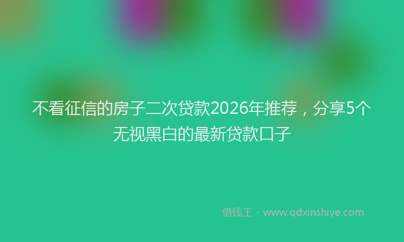 不看征信的房子二次贷款2026年推荐，分享5个无视黑白的最新贷款口子