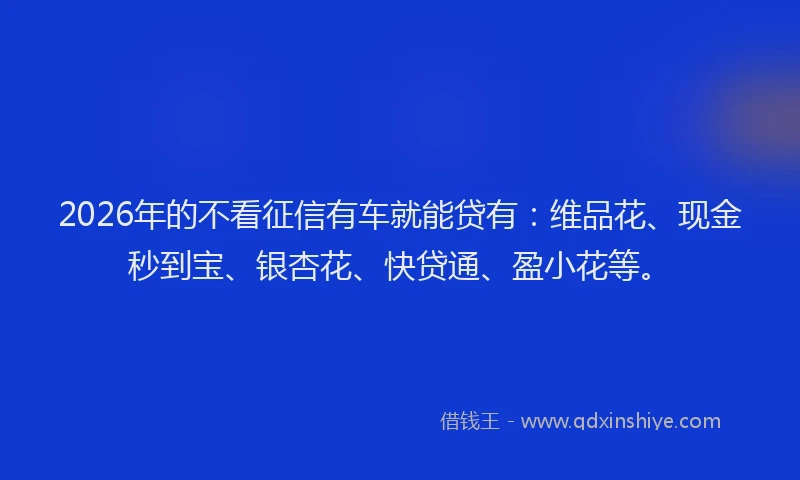 2026年的不看征信有车就能贷有:维品花、现金秒到宝、银杏花、快贷通、盈小花等。
