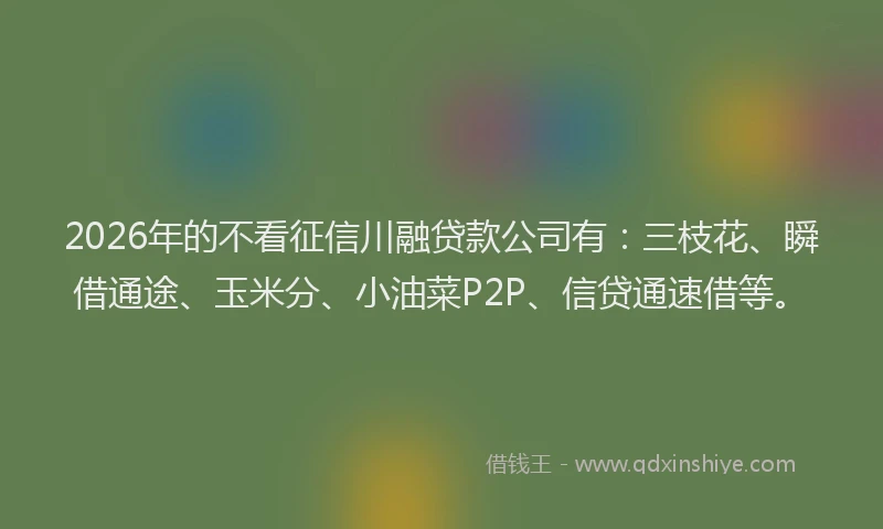 2026年的不看征信川融贷款公司有：三枝花、瞬借通途、玉米分、小油菜P2P、信贷通速借等。