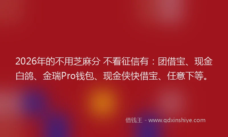 2026年的不用芝麻分 不看征信有：团借宝、现金白鸽、金瑞Pro钱包、现金侠快借宝、任意下等。