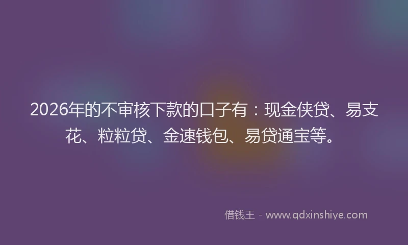 2026年的不审核下款的口子有：现金侠贷、易支花、粒粒贷、金速钱包、易贷通宝等。