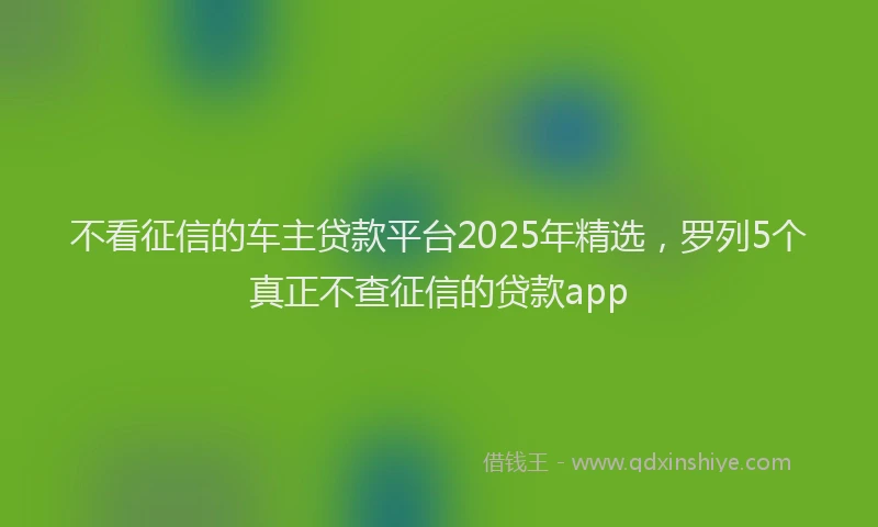 不看征信的车主贷款平台2025年精选，罗列5个真正不查征信的贷款app