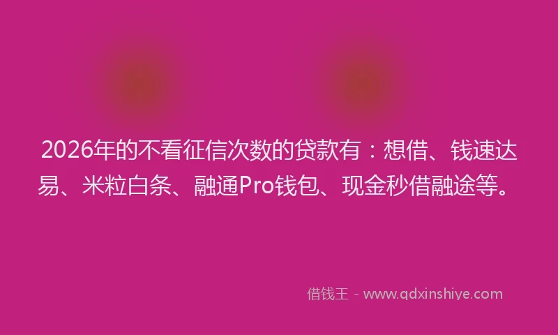 2026年的不看征信次数的贷款有：想借、钱速达易、米粒白条、融通Pro钱包、现金秒借融途等。