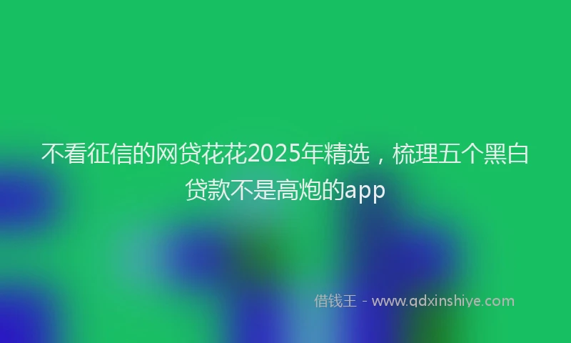 不看征信的网贷花花2025年精选，梳理五个黑白贷款不是高炮的app
